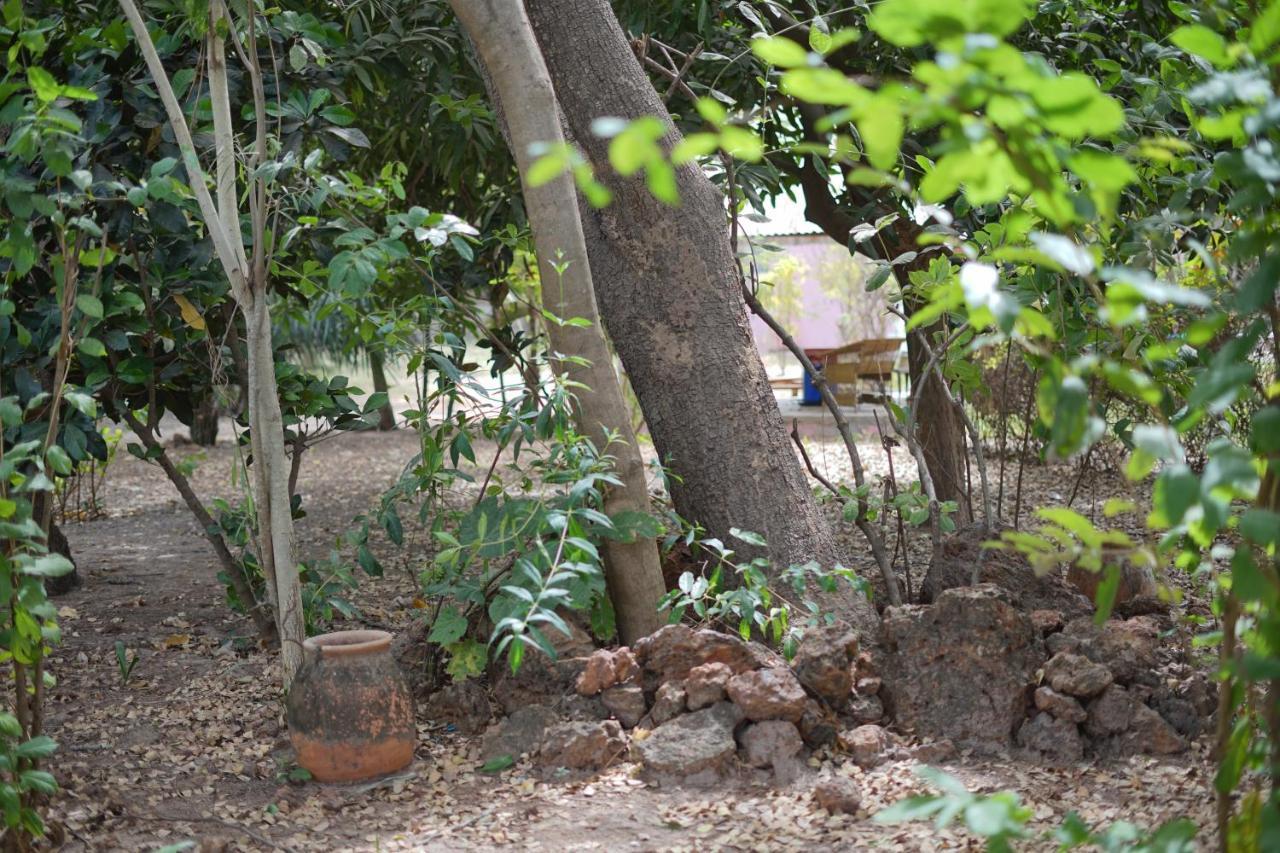Villa Amarant - Private Garden With Pool Retreat Sanyang Exterior foto